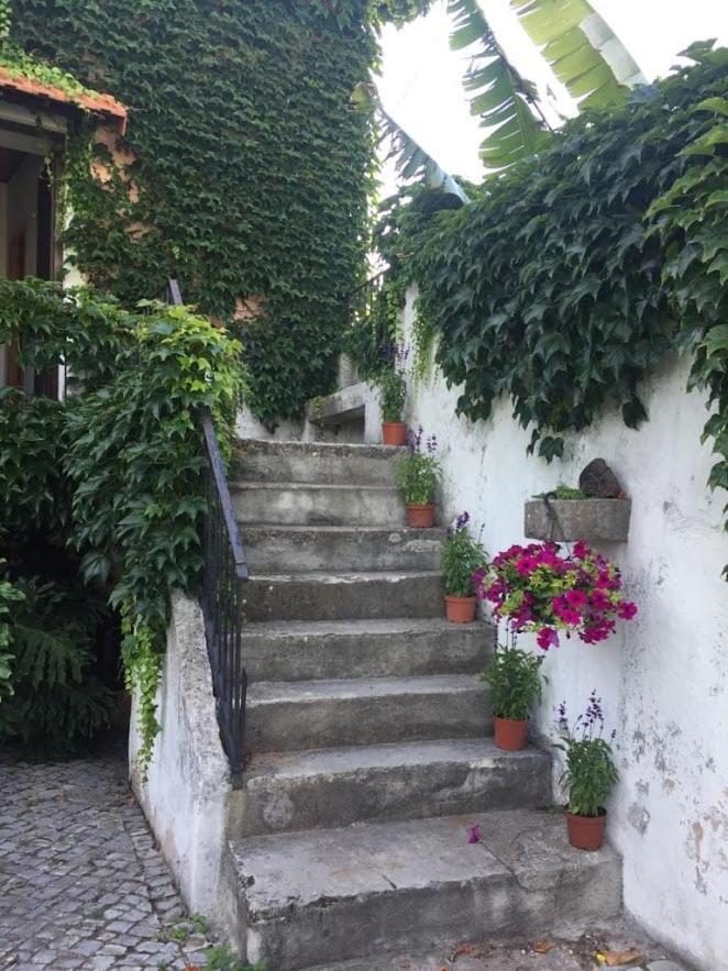 Casa Agricola Do Limonete Βίλα Figueira da Foz Εξωτερικό φωτογραφία